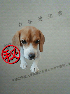 ���@�i�@^^
